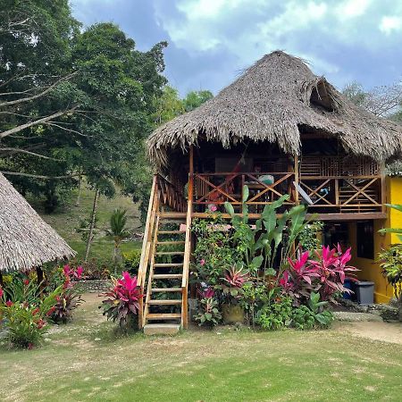 Ecohostal Palmares Del Rio Guachaca 외부 사진