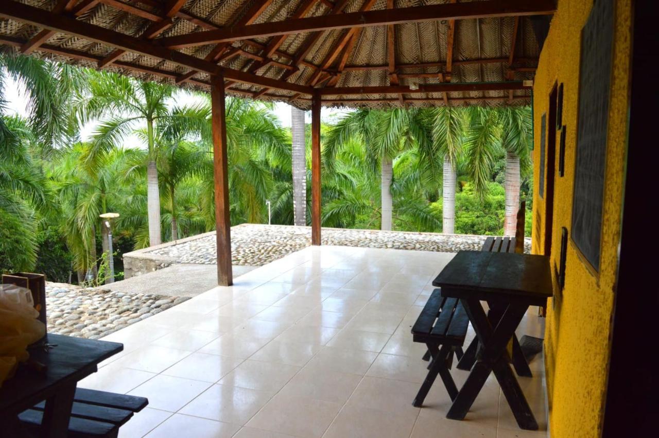 Ecohostal Palmares Del Rio Guachaca 외부 사진