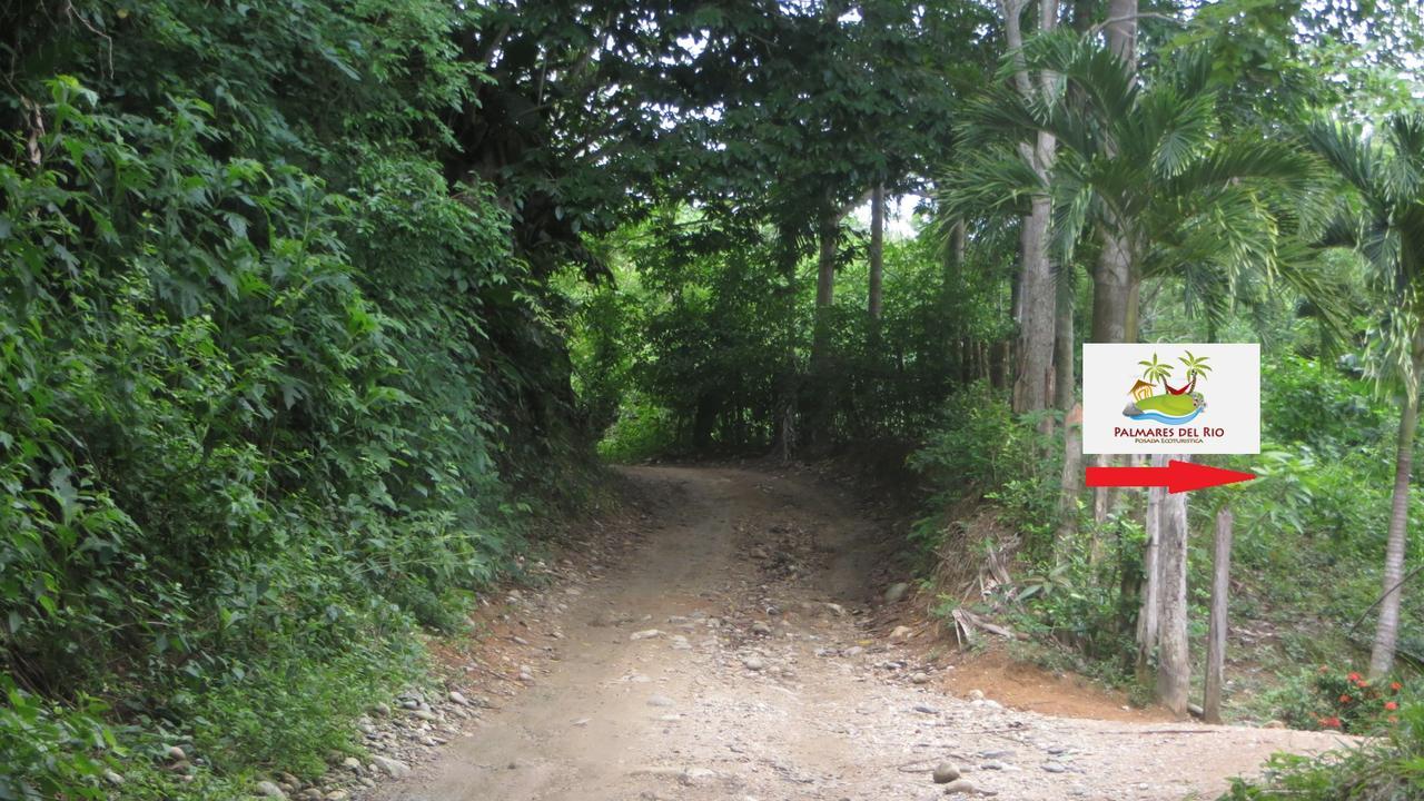 Ecohostal Palmares Del Rio Guachaca 외부 사진