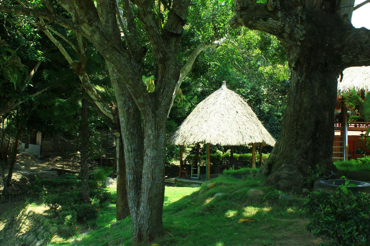 Ecohostal Palmares Del Rio Guachaca 외부 사진